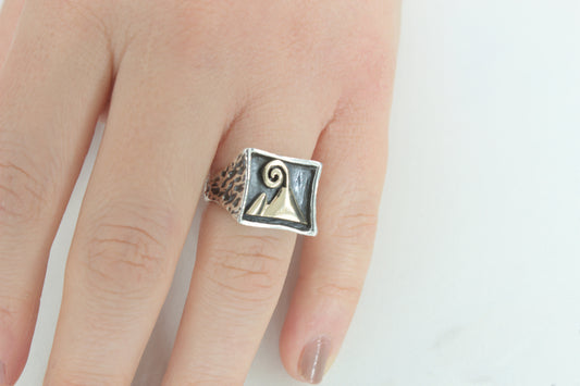 ANELLO CHEVALIER QUADRATO